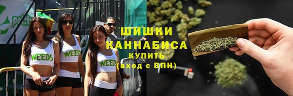 ГАЛЛЮЦИНОГЕННЫЕ ГРИБЫ Бородино