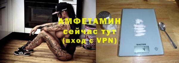 ГАЛЛЮЦИНОГЕННЫЕ ГРИБЫ Бородино
