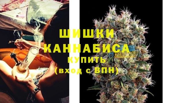 ГАЛЛЮЦИНОГЕННЫЕ ГРИБЫ Бородино