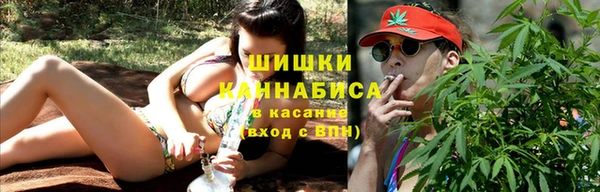 ГАЛЛЮЦИНОГЕННЫЕ ГРИБЫ Бородино