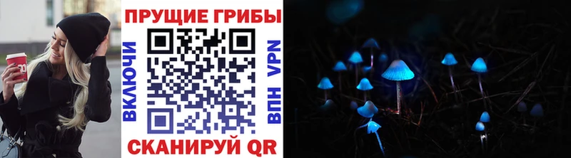 Галлюциногенные грибы MAGIC MUSHROOMS  где продают наркотики  Ветлуга 